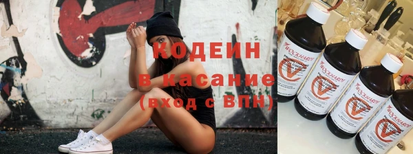 ECSTASY Лагань